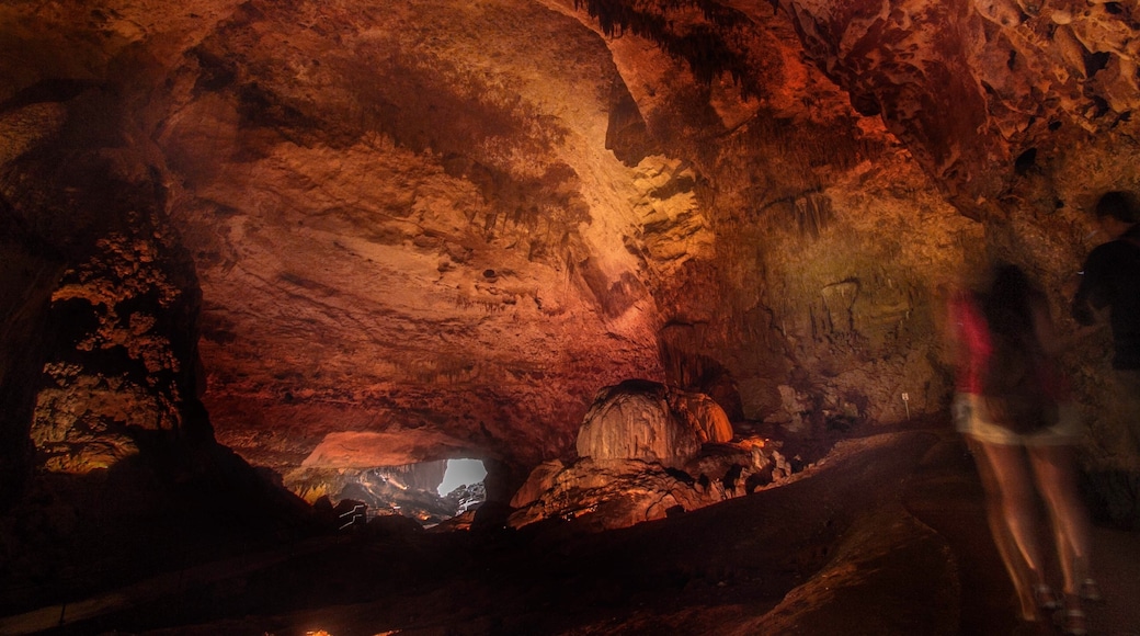 Rio Camuy Cave-parken (Parque de las Cavernas del Rio Camuy), Camuy, Puerto Rico