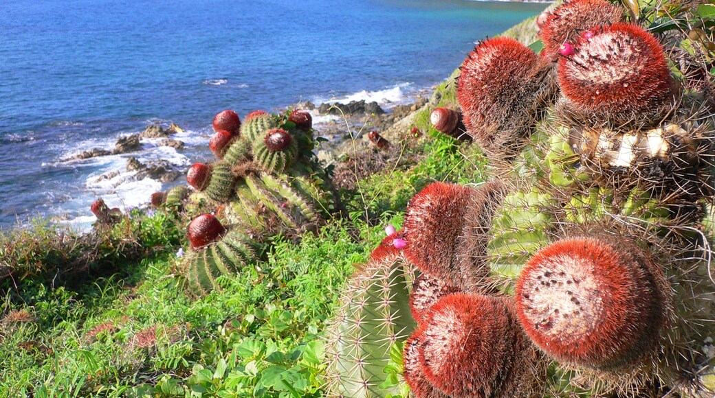 Photo by Phillip Montgomery