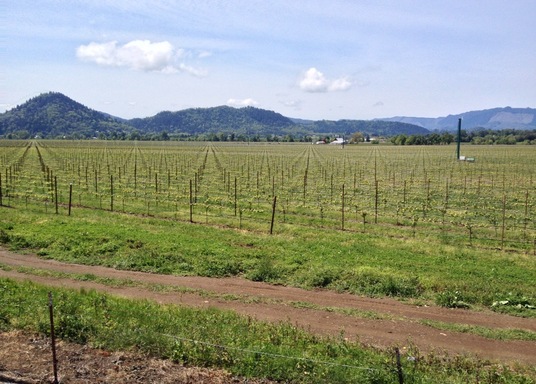 Roseburg, Oregon, United States of America
