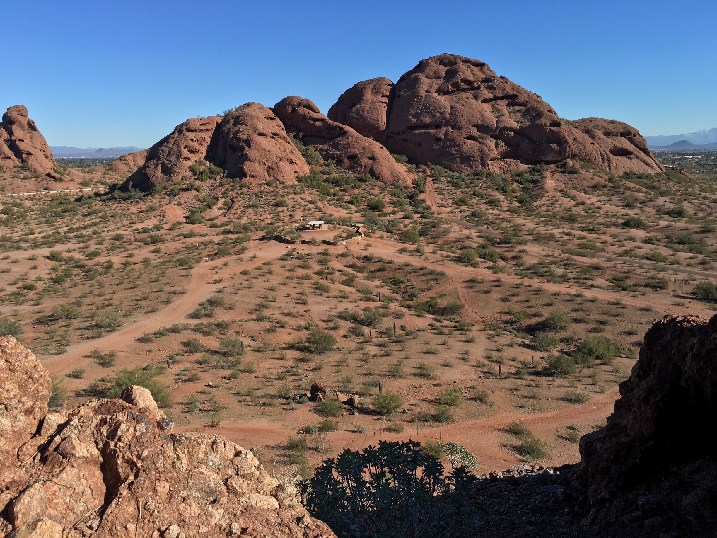 The Central Park of Phoenix