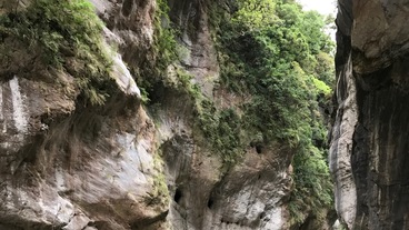 太魯閣峡谷/
