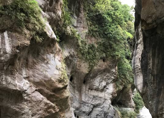 زيلين, تايوان