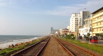 Colombo, despite it's location alongside the ocean, still has a very industrial feel to it.  For some reason, the contrast of this scene resonated with me.