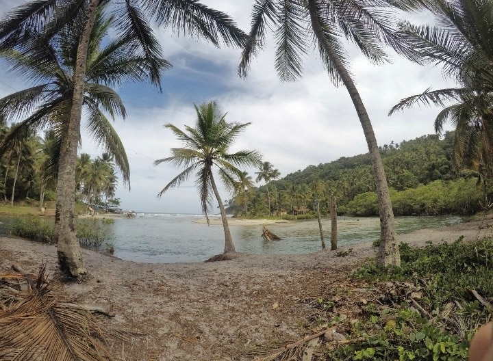 Hike that starts with a waterfall, jungle and mangroves, and of course, the beach