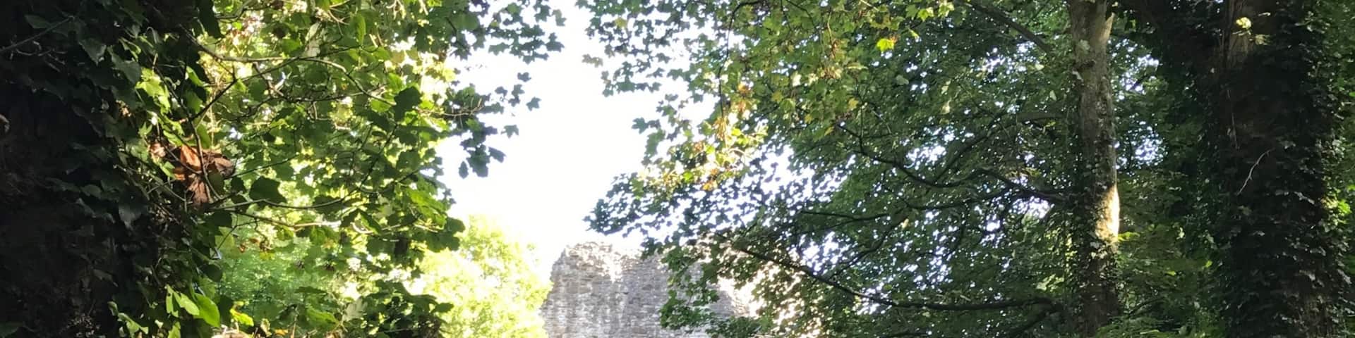 Ewloe Castle was built around 1257 by Llywelyn ap Gruffudd and is hidden in the beautiful Wepre Woods.  #EndlessSummer