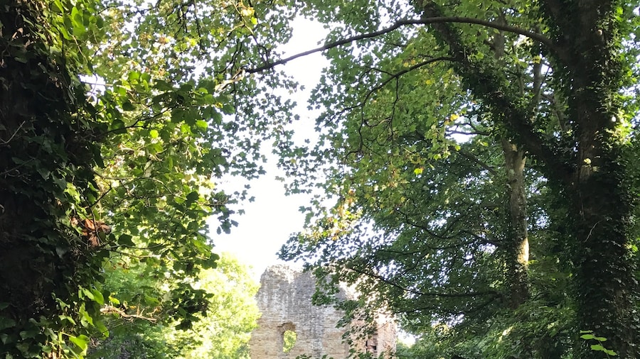 Ewloe Castle