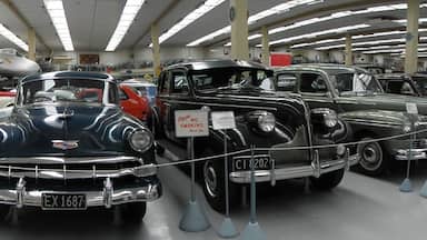 #TroveOn The museum has a very good collection of vintage cars. Takes one back into the by-gone era.