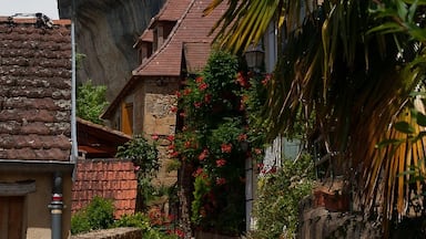 people have been living in this area for about 200,000 years. The modern town is overhung by the cliffs which make it spectacular even to see. If your interested in all things prehistoric this is the area for you. Apart from the excellent museum,there are hikes, cycle tours, various caves and canoe trips on the river.

  http://leseyzies-tourist.info/