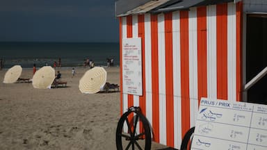 Changing hut De Panne beach,Belgium.

Colour coordinated huts and sunbeds, line the beach.

#BeachTips