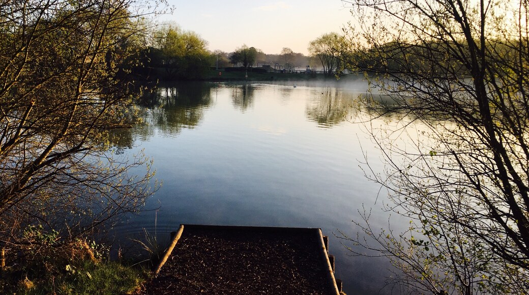 Photo de Veronica Oliveira