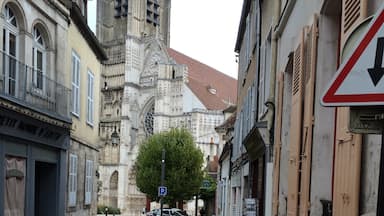 A lovely city that we haven't had a chance to explore much (it's where we catch the train to Paris when we've visited friends in Bourgogne), but I hope we can remedy this soon. This is a view of the cathedral.