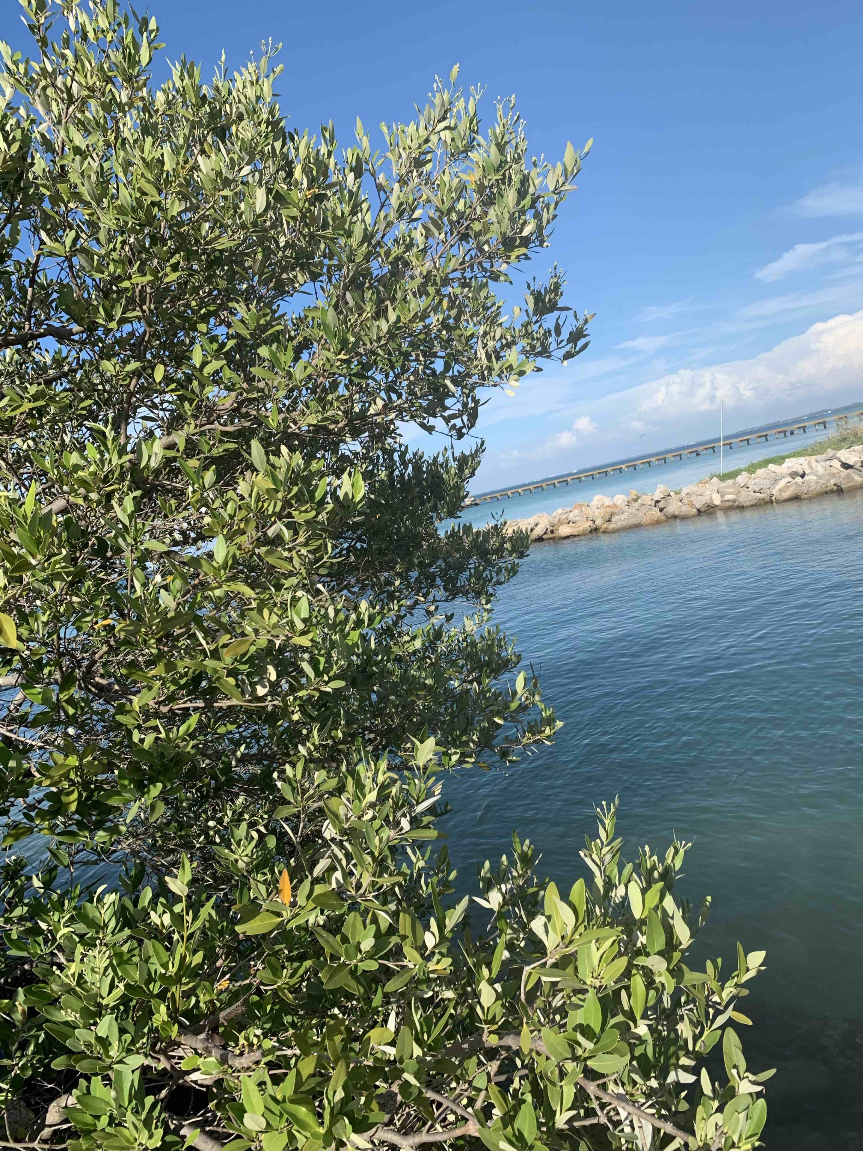 Photo by Gary-Heather Kobza