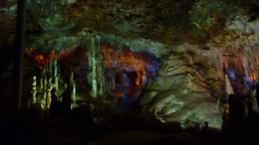 Coves dels Hams
