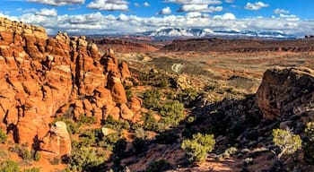 Moab, Utah

#trovember #moab #utah #arches #daysthatlastforever #beauty #sweetsummertime