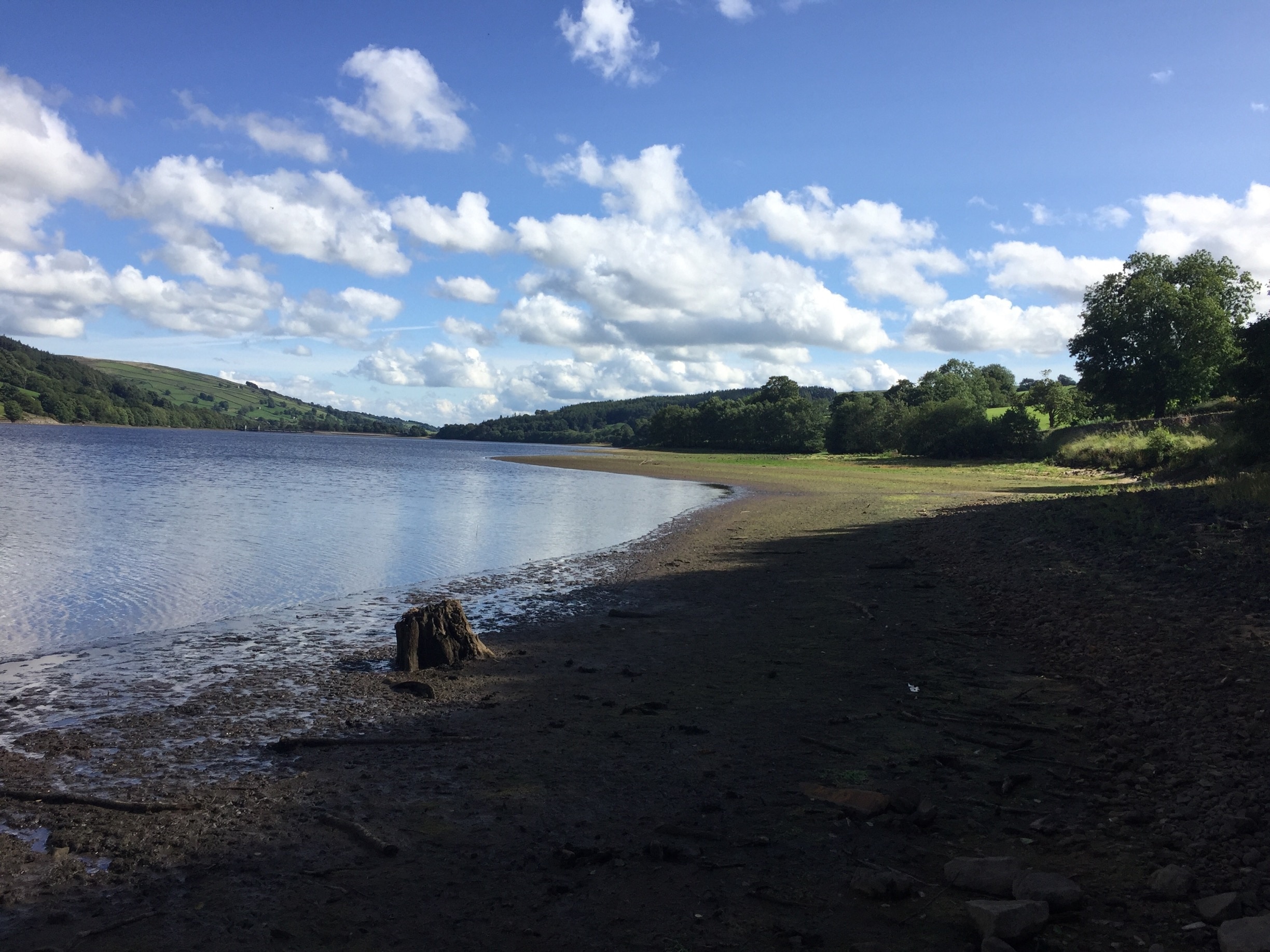 Foto tomada por Elegant storm 