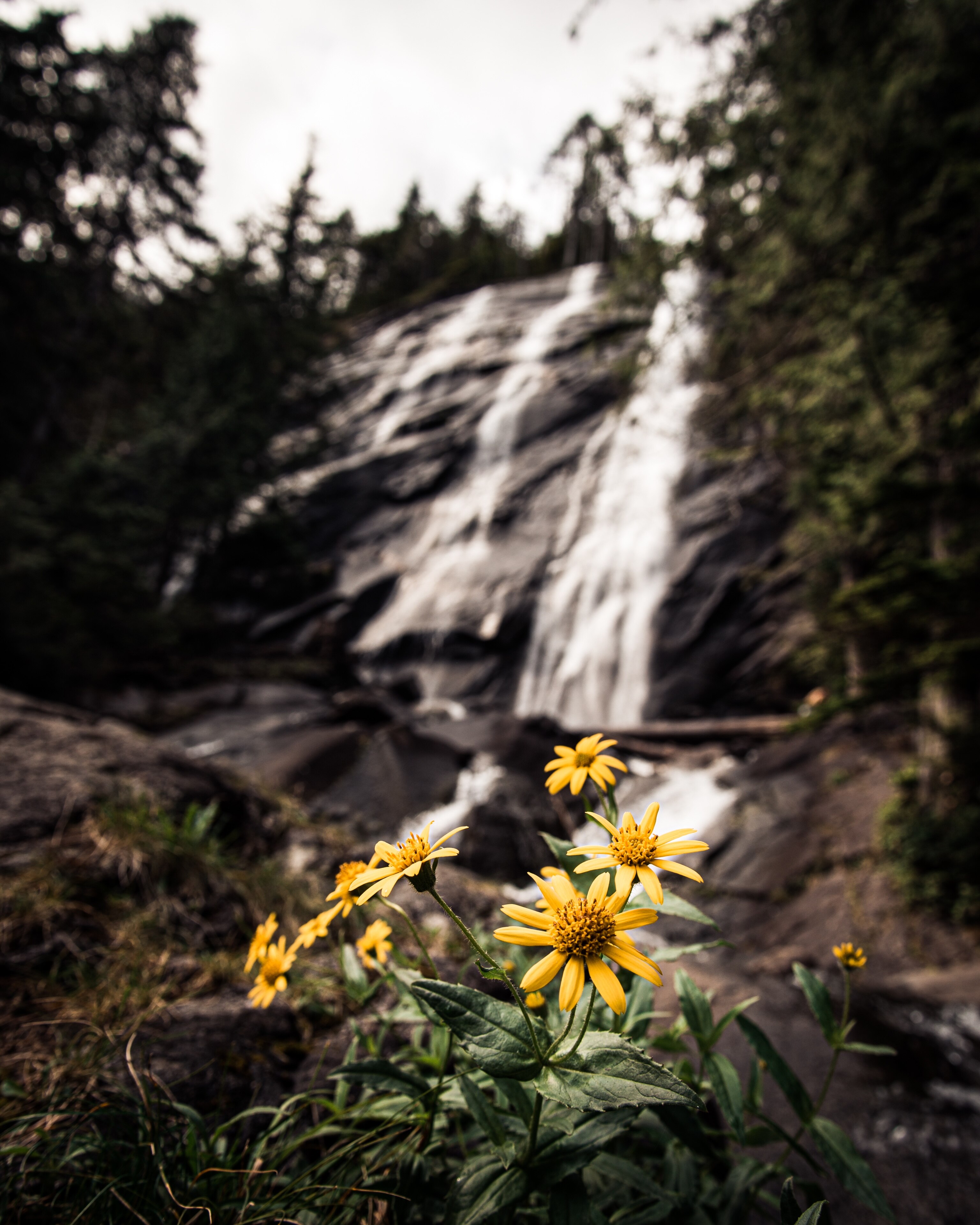 Visit Gold Bar 2023 Travel Guide for Gold Bar, Washington Expedia