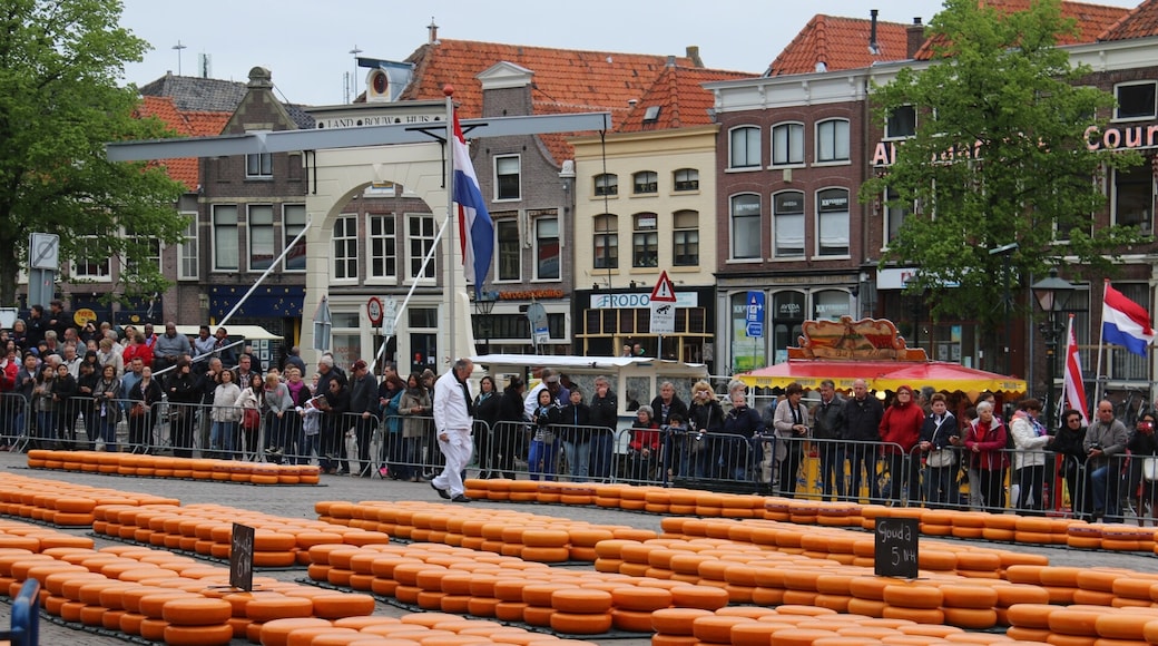 Kaasmarkt, Alkmaar, Noord-Holland, Nederland