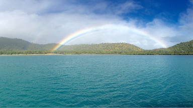 When the most perfect rainbow appears at the Whitsunday Islands in Australia. #AboveItAll