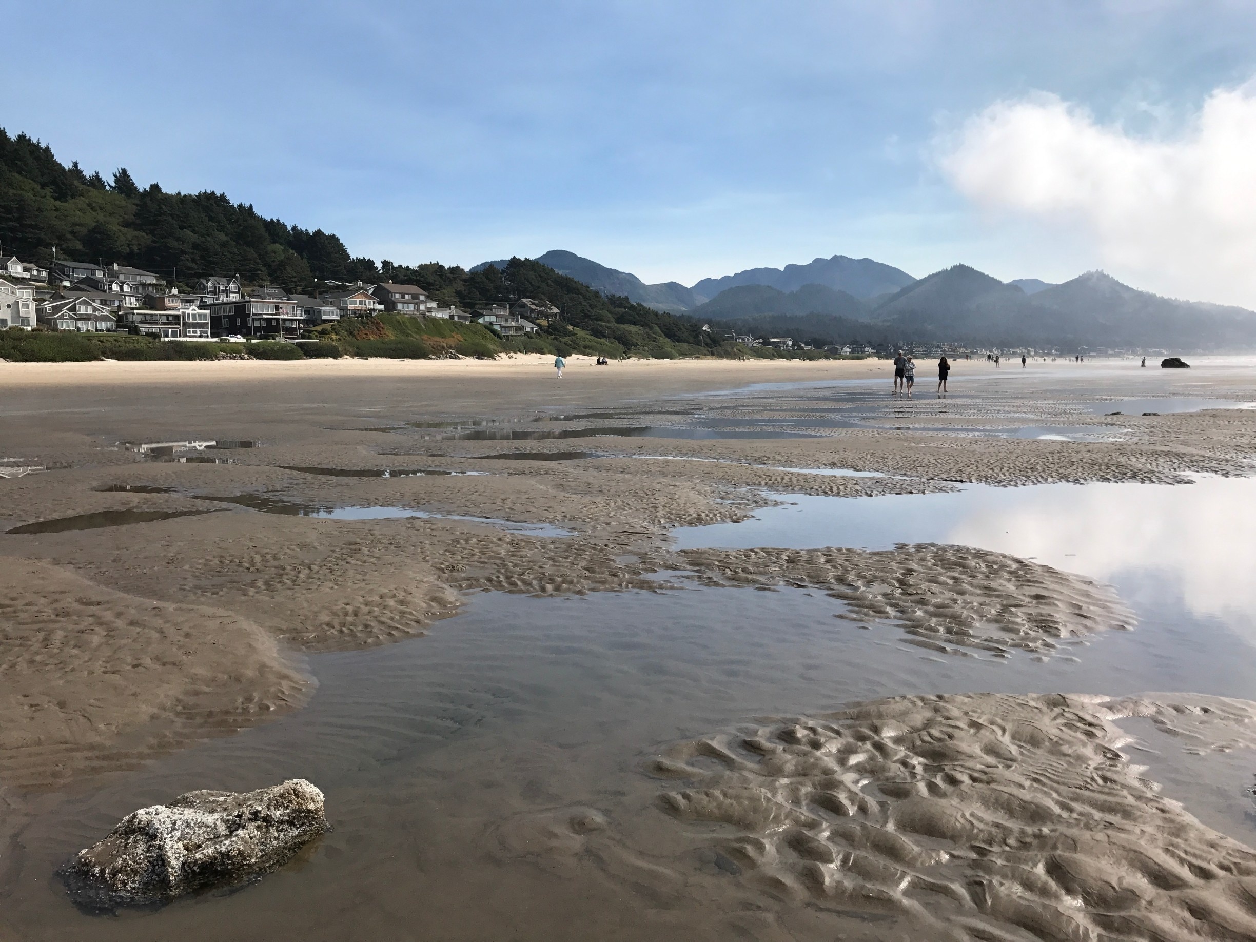 Top 20 Cannon Beach, Cannon Beach beachfront vacation rentals Vrbo