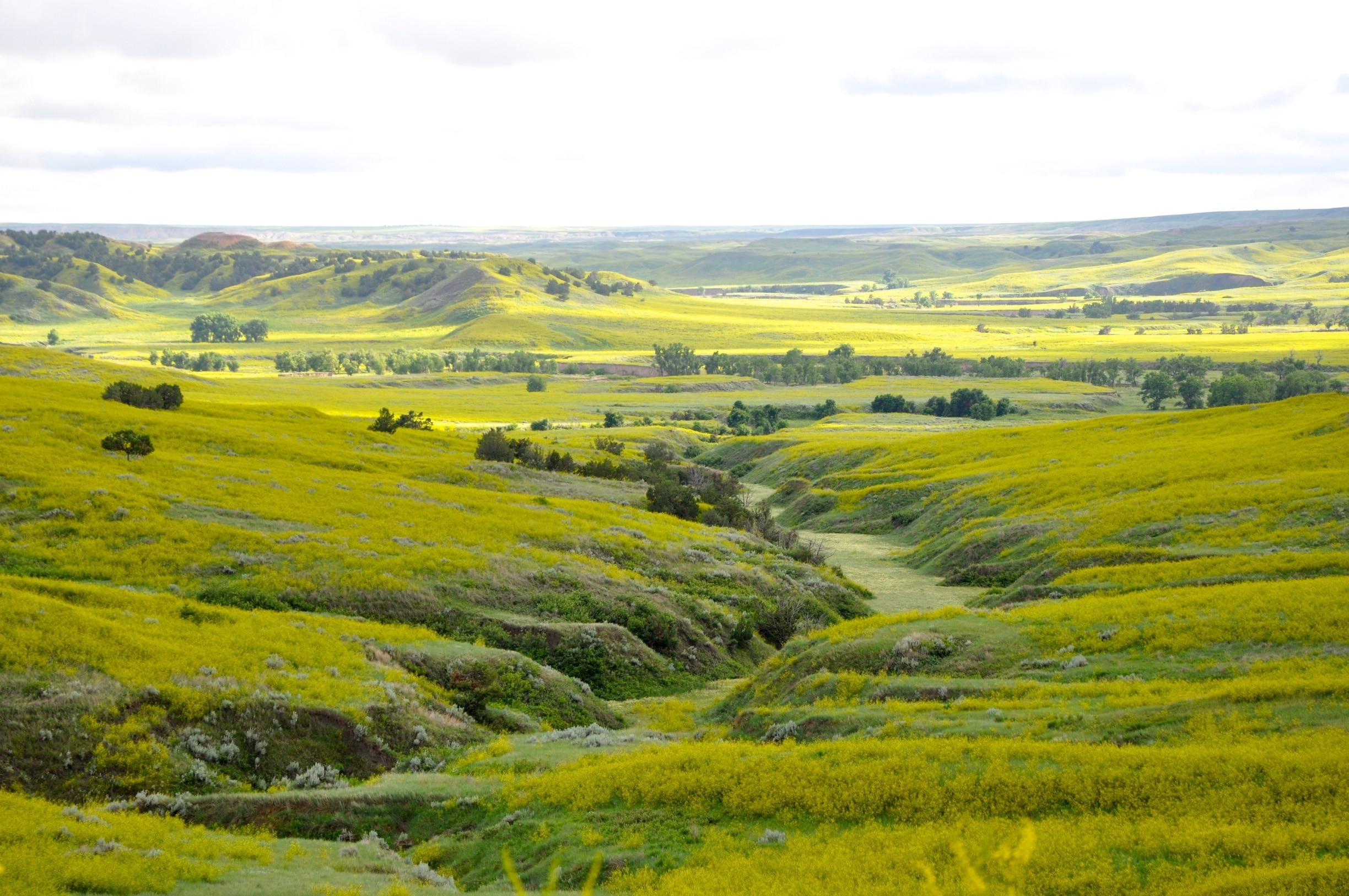 Visit Wall 2024 Travel Guide for Wall, South Dakota Expedia