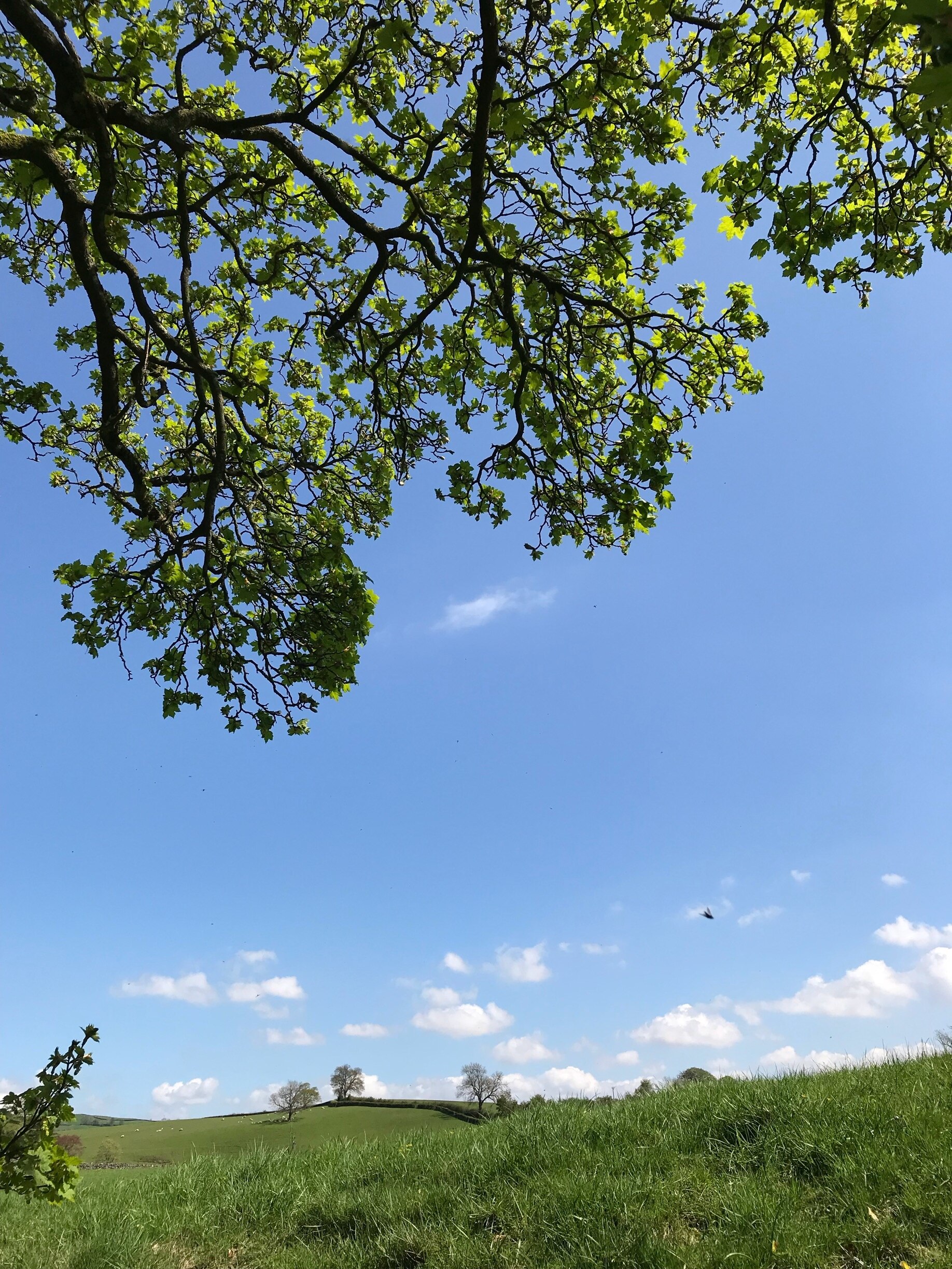 Foto av Martin Gerrish