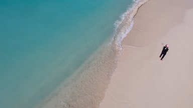 All alone by the beach