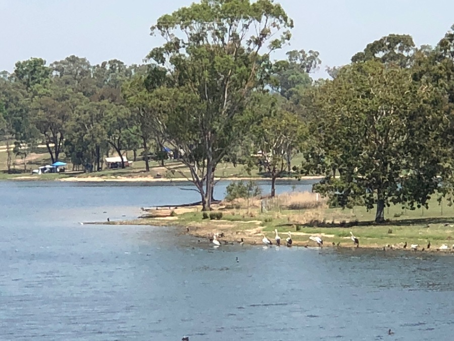 Eungella Dam is a scenic lake fringed by rainforest, the ideal spot for boating, skiing, fishing and camping. Access is by normal vehicle over some dirt road.