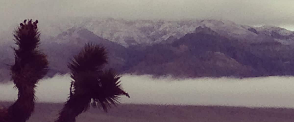 Nevada in the morning