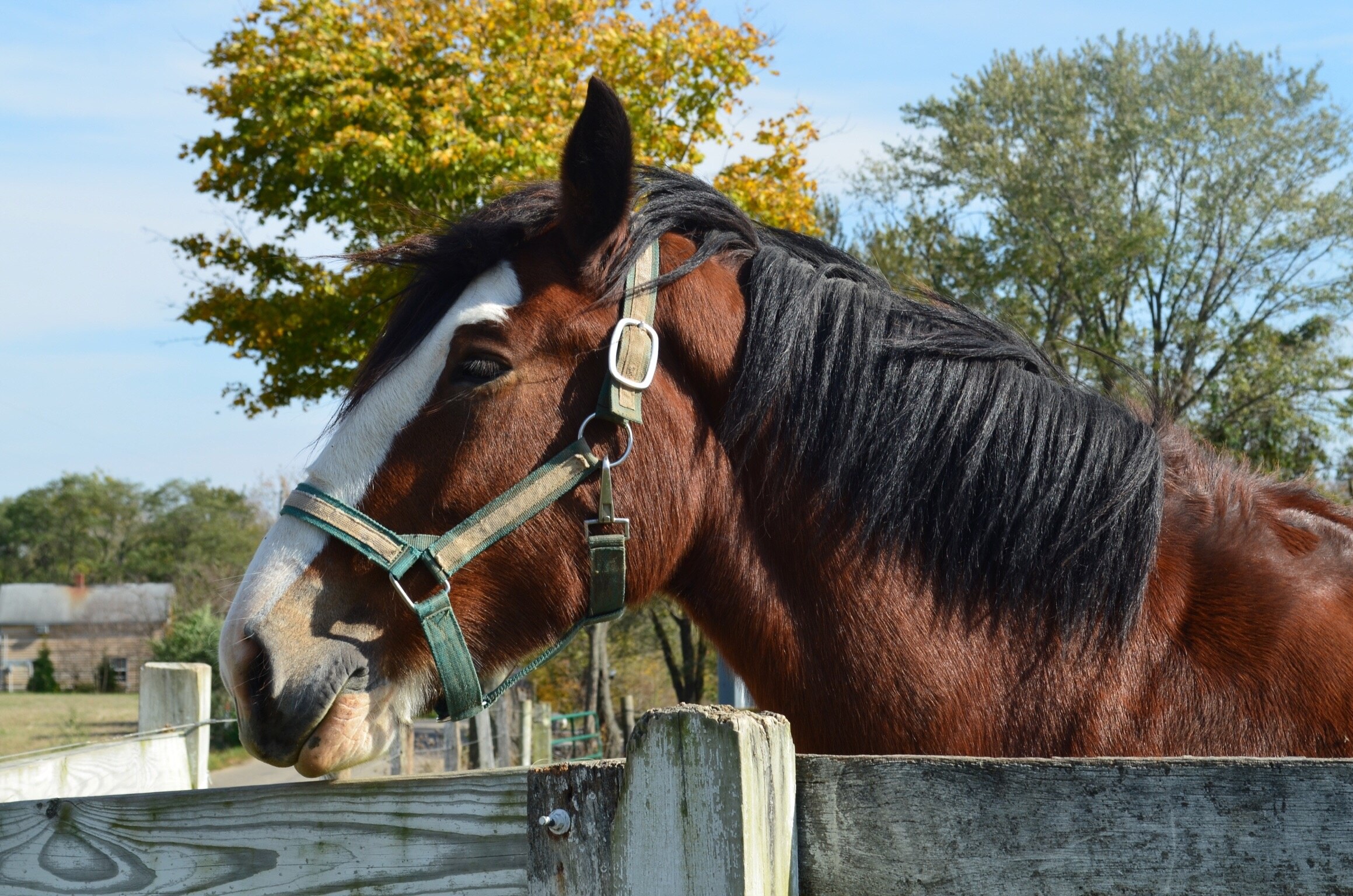 Vermillion County Vacation Rentals, Indiana house rentals & more Vrbo