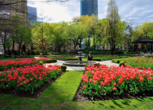 Old Toronto, Ontario, Canadá
