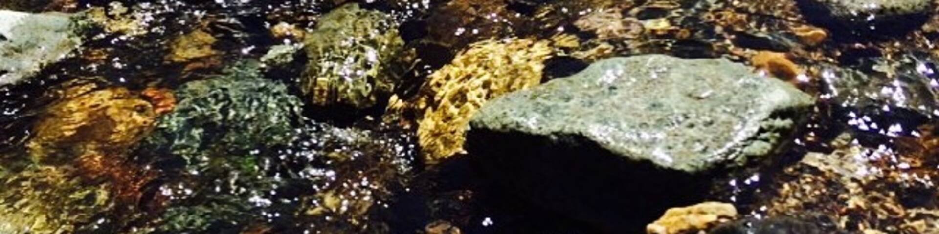 Greenough, Montana, United States of America