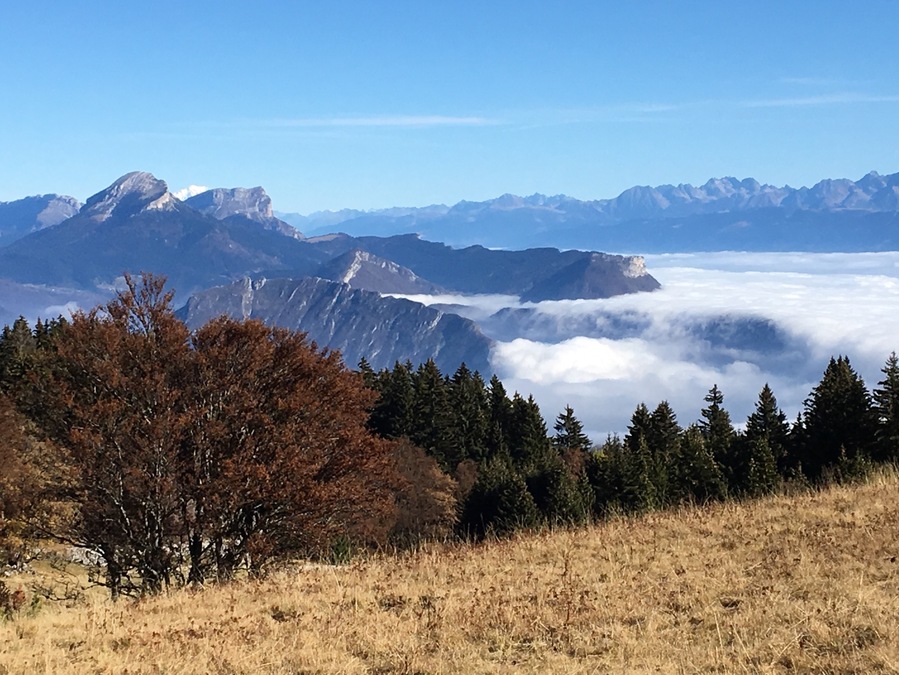 Vue magnifique sur l'agglomération grenobloise !