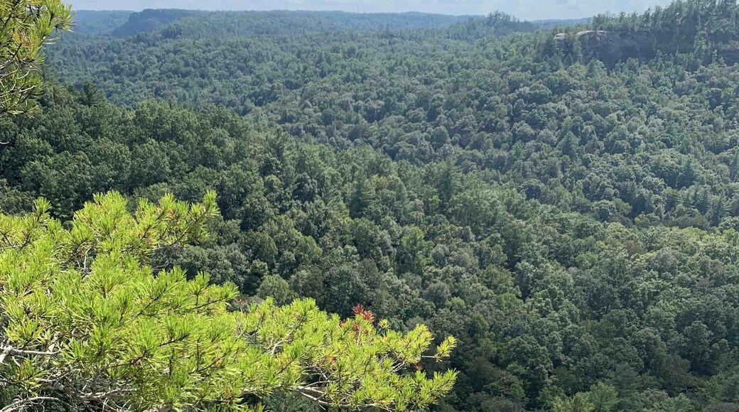 Photo de Gary-Heather Kobza