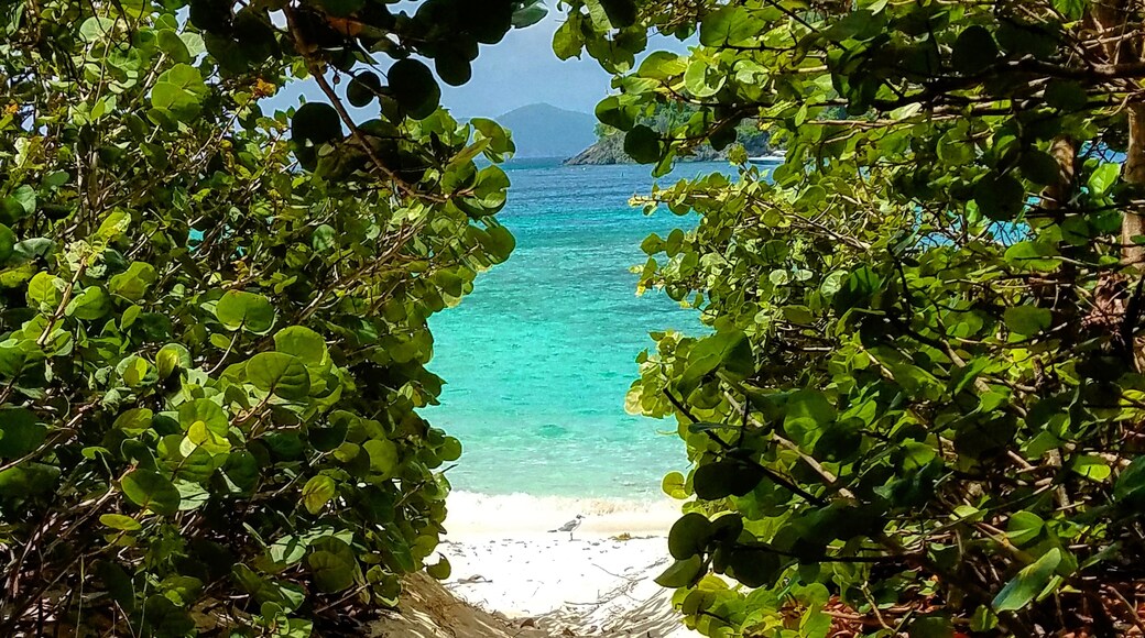 Pantai Honeymoon, St. John, Kepulauan Virgin Amerika Serikat