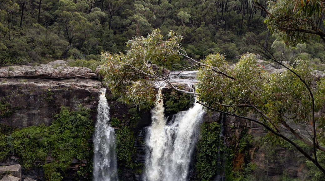 Carrington Falls, Carrington Falls, New South Wales, Australia