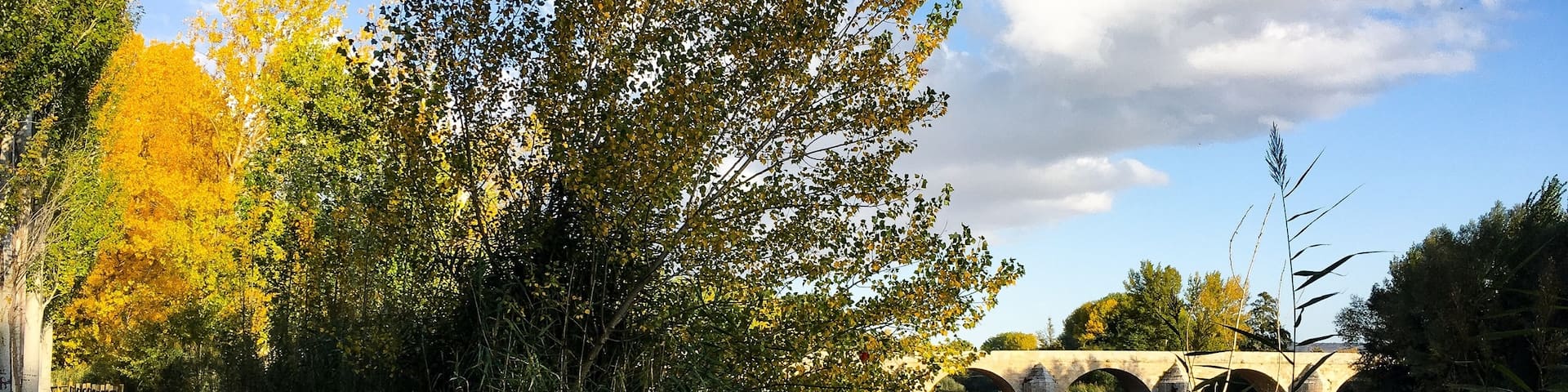 #greatoutdoors #autumn #colours #palencia #spain #lifeatexpedia #medievalbridge #river