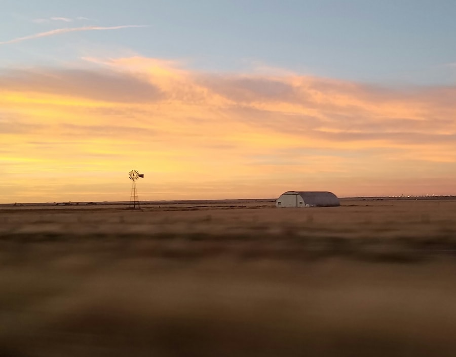 I have recently posted our travel diary from the first 4 days of our #roadtrip to the Southwest US. #travel #petfriendly #hotels #restaurant