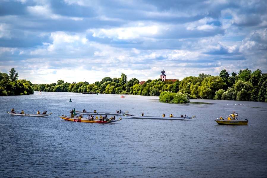 Drachenboote auf dem Neckar bei Ladenburg