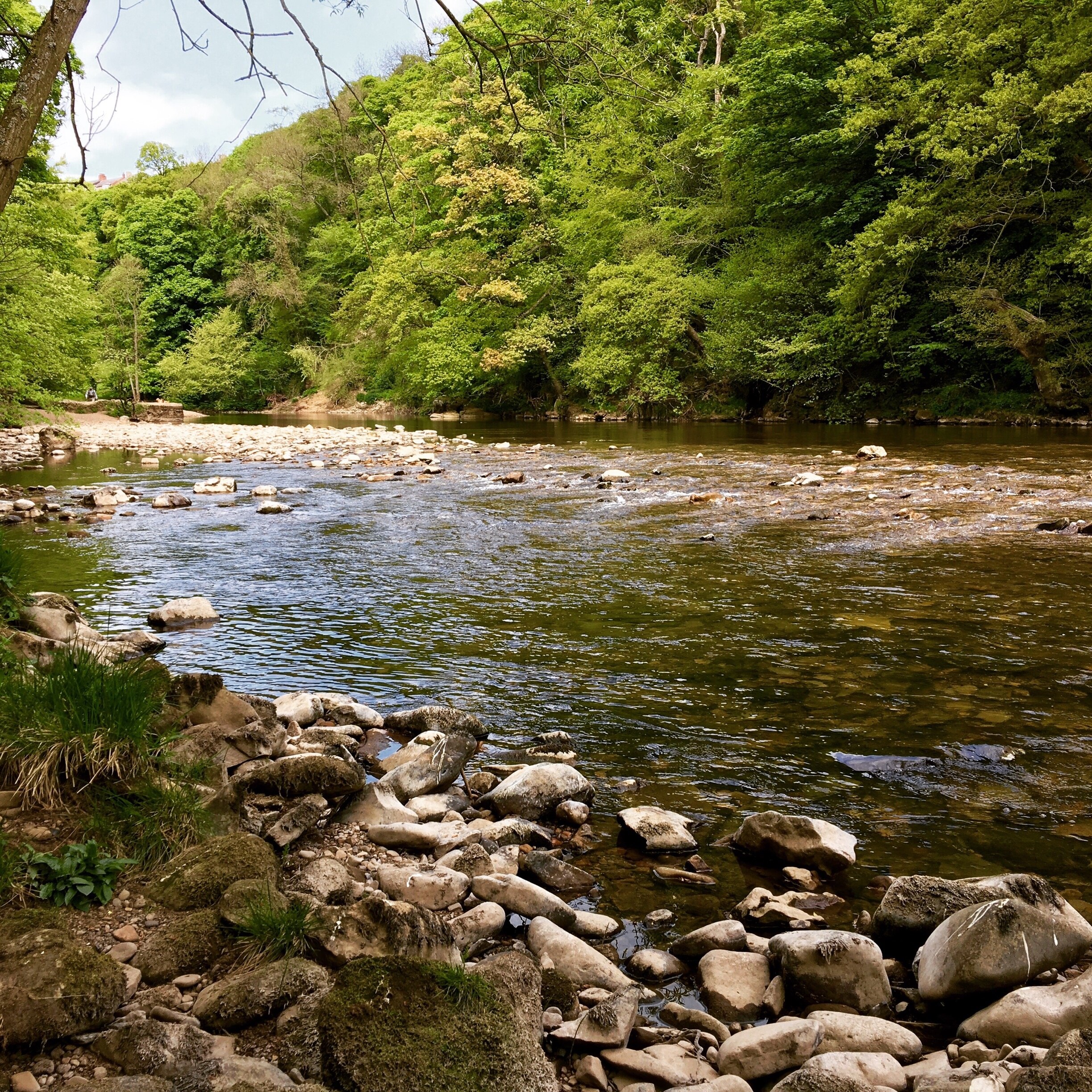 Ảnh của Neil Ellwood