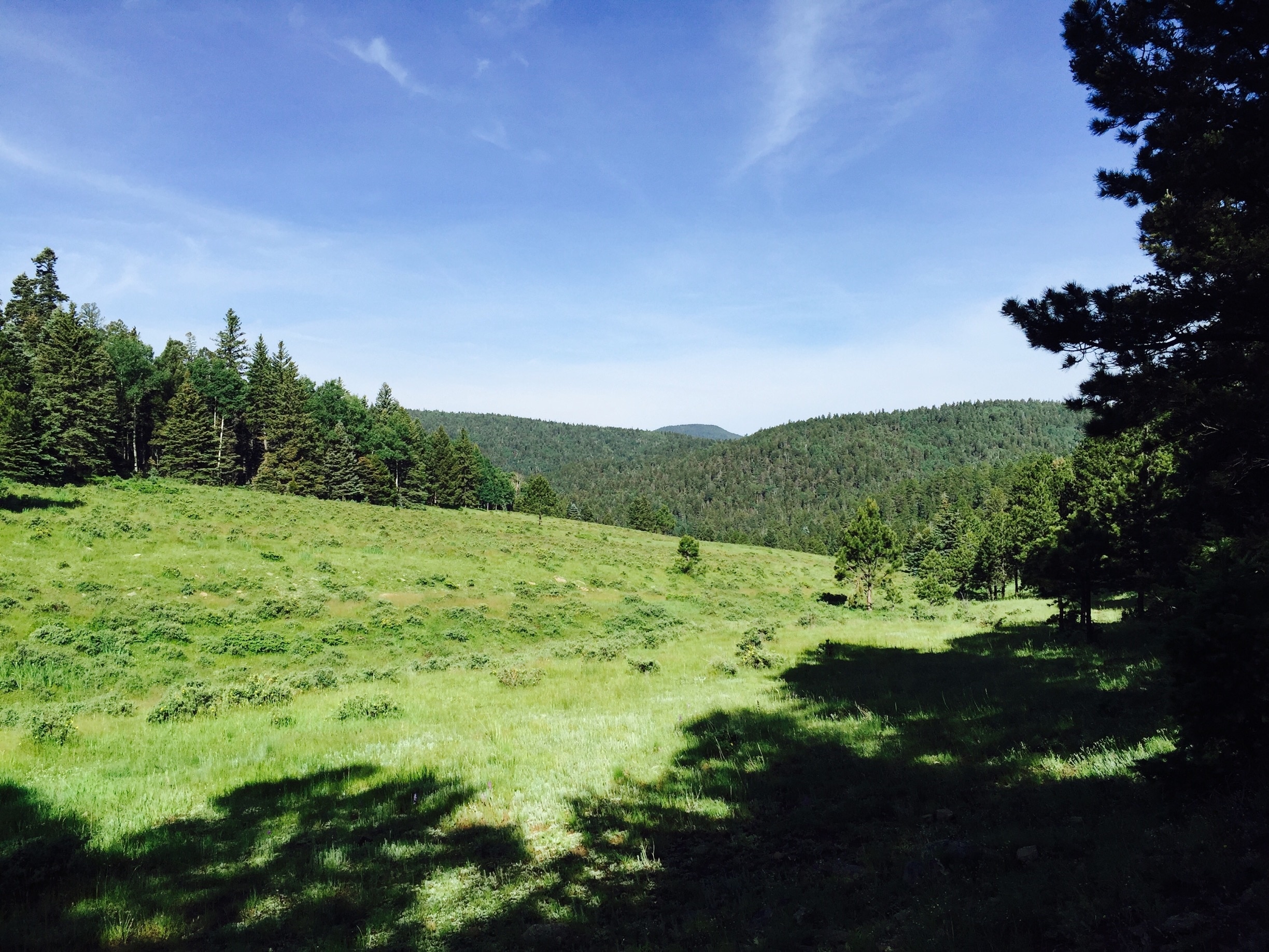 Photo by Susan Maycrink