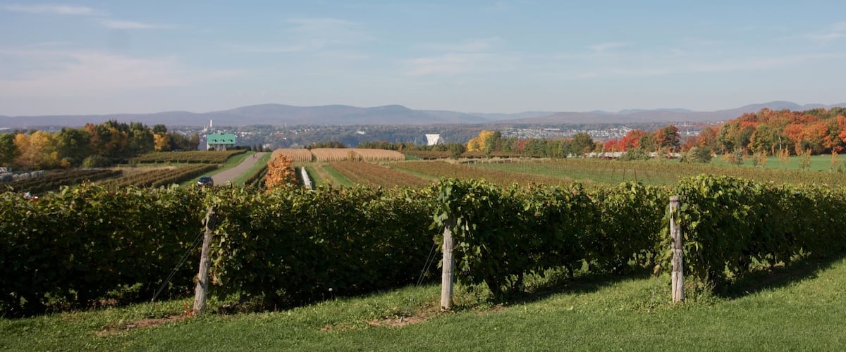 The view of Montmorency falls is to die for at Ste-Petronille vineyard near Québec.