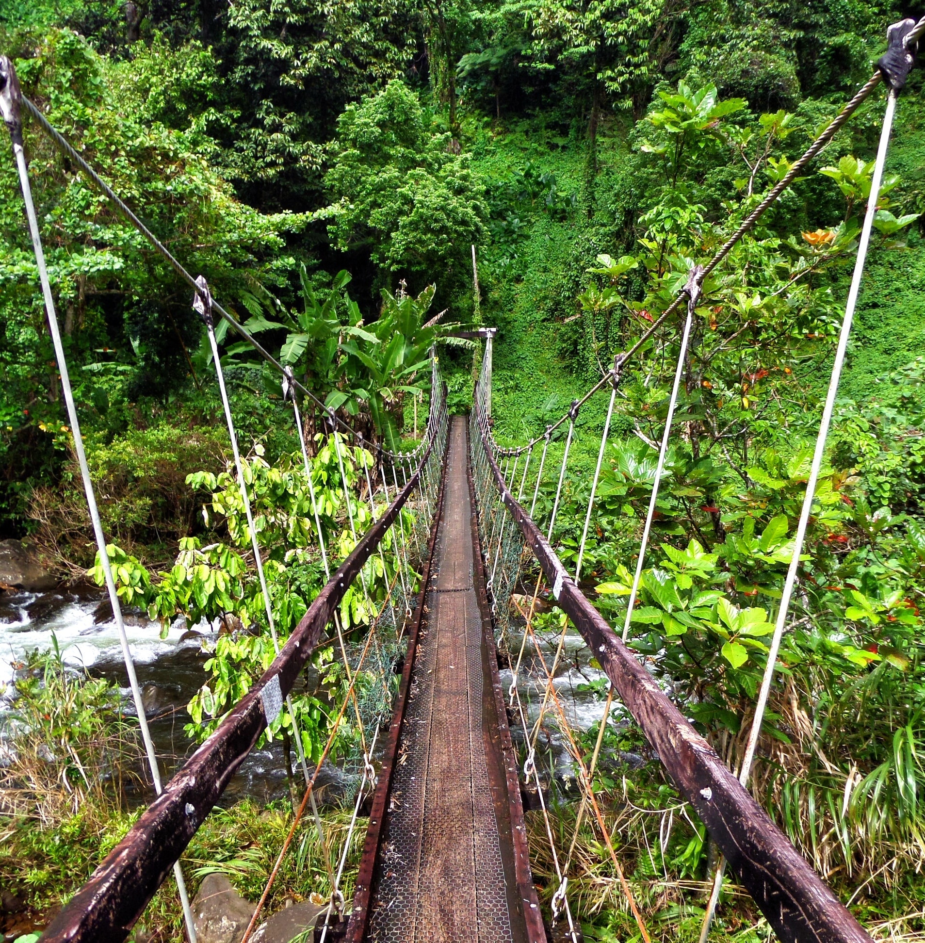 This fantastic suspension bridge crosses a swift mountain stream along the Lavena Coastal Walk in Taveuni, Fiji. More pics on my blog www.martinainmotion.com :-) 