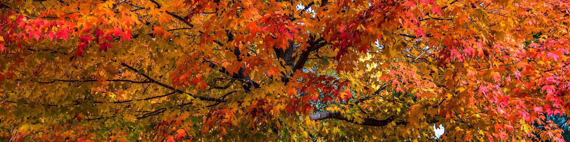 Plymouth, Vermont, United States of America