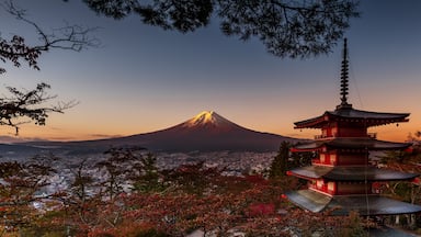 The 500 step climb to the Churieto Pagoda with this view of Mt. Fuji is truly spectacular at sunrise. Quite the climb in the dark save some fine to catch your breath. #Adventure