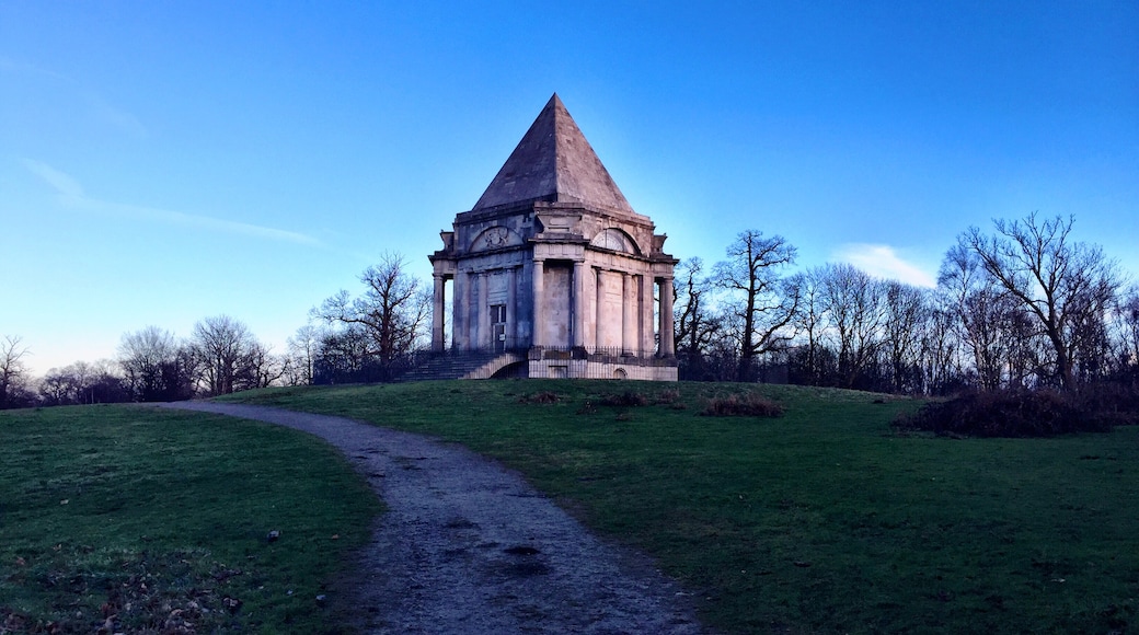 Photo de Nicholas Greenfield