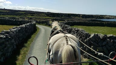 If you make it to Inisheer you have to take a horse drawn carriage ride around the island. We were lucky enough to get Dolly and she had quite the personality. We had to get out and encourage her up the hill. IN her defense she was still in training while we were there. If you do get to go say hello to Dolly! 

https://midlifemilestones.com/unlock-ireland-with-this-insider-9-day-itinerary/