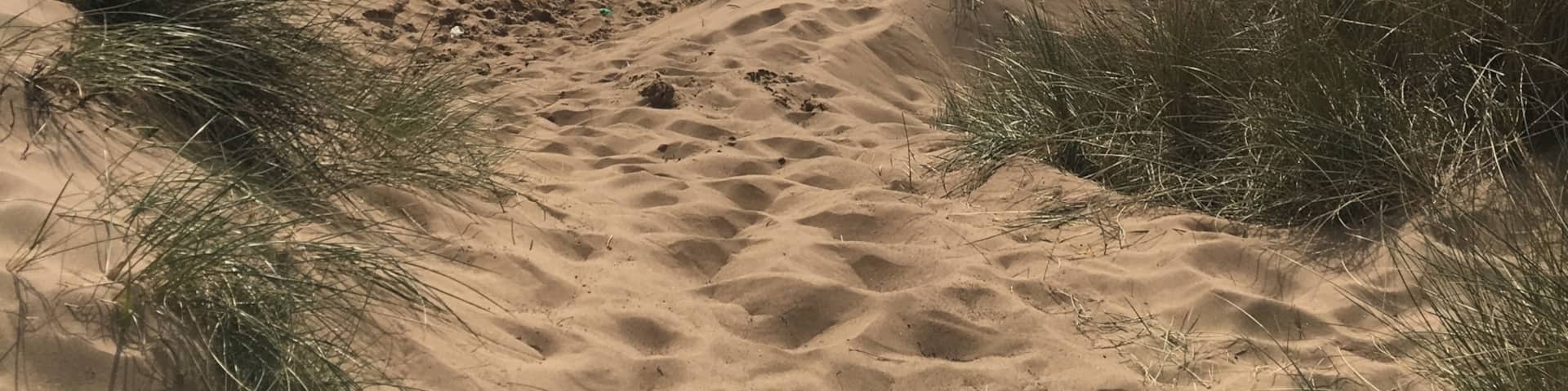 Beautiful sandy beach stretching for miles. Perfect for long dog walks