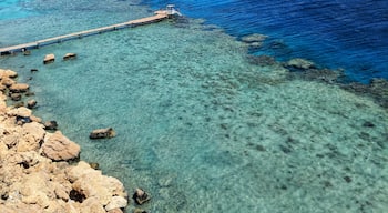 The beautiful waters of the Red Sea
#adventure #redsea #beach #vacation #beachvacation #summer