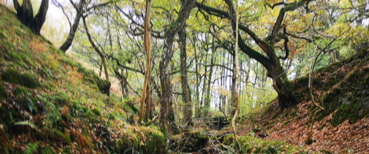 Lovely spot today at Nant y Pandy nr. Corwen, North Wales