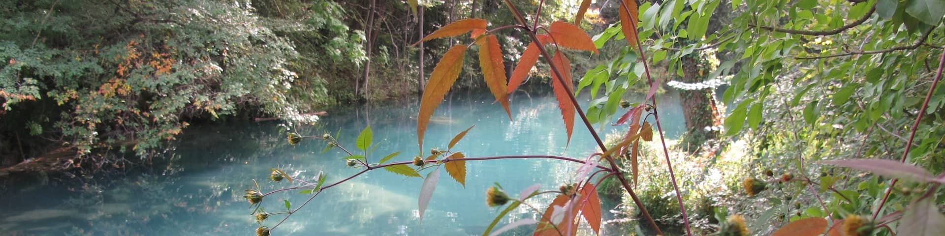 Gracciano, Montepulciano, Toscana, Itália
